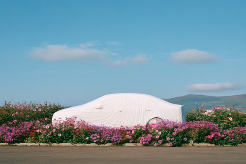 Car in a Floral Field