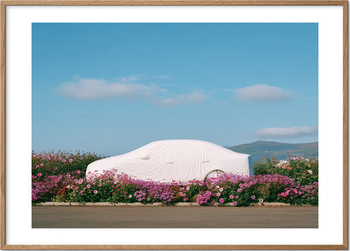 Car in a Floral Field — מוקאפ מסגרת