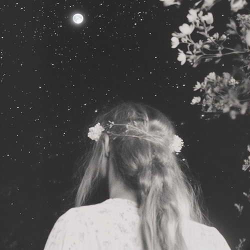 Moonlight