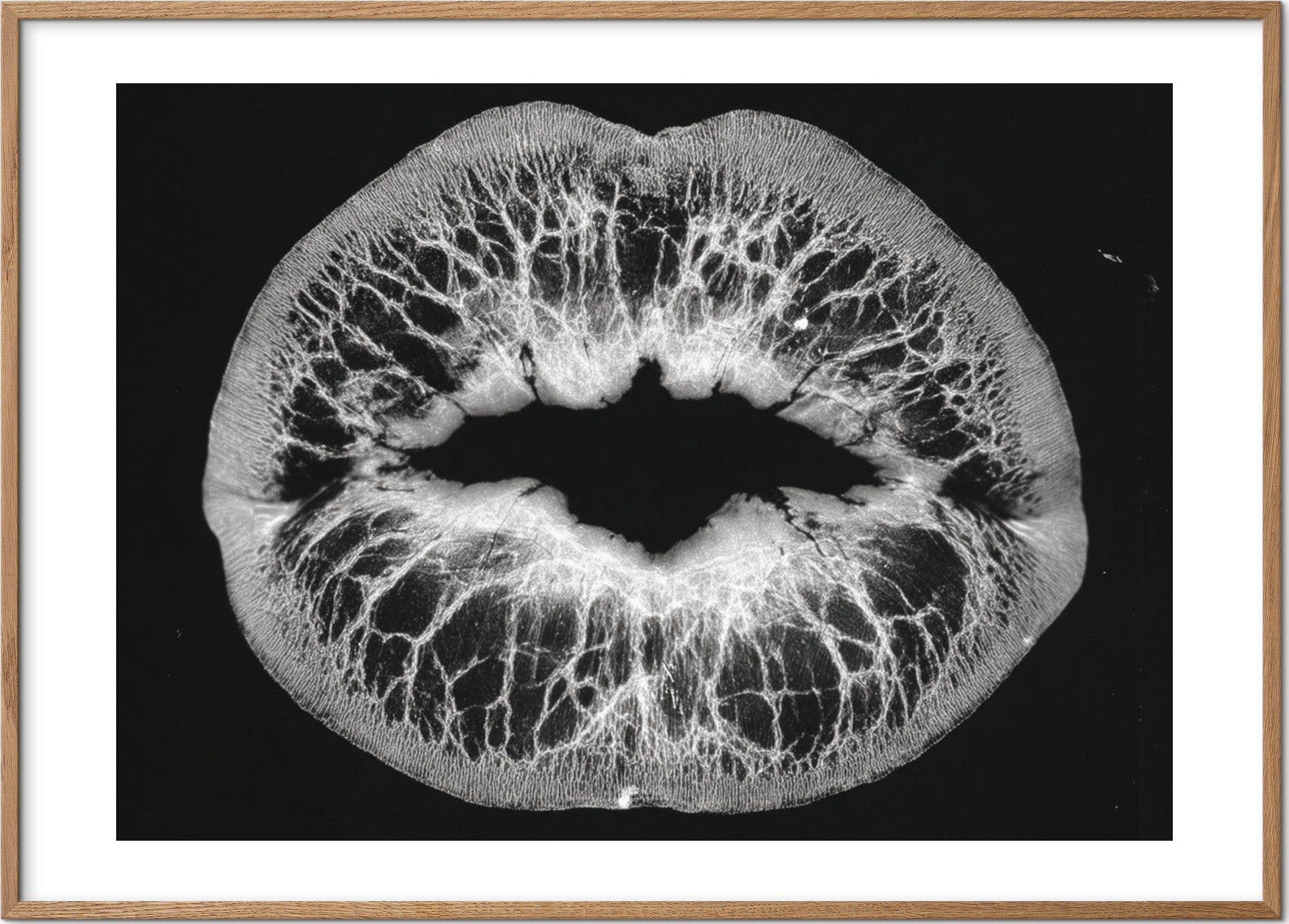 Neuro Kiss — מוקאפ מסגרת