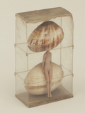 Shell of a Woman