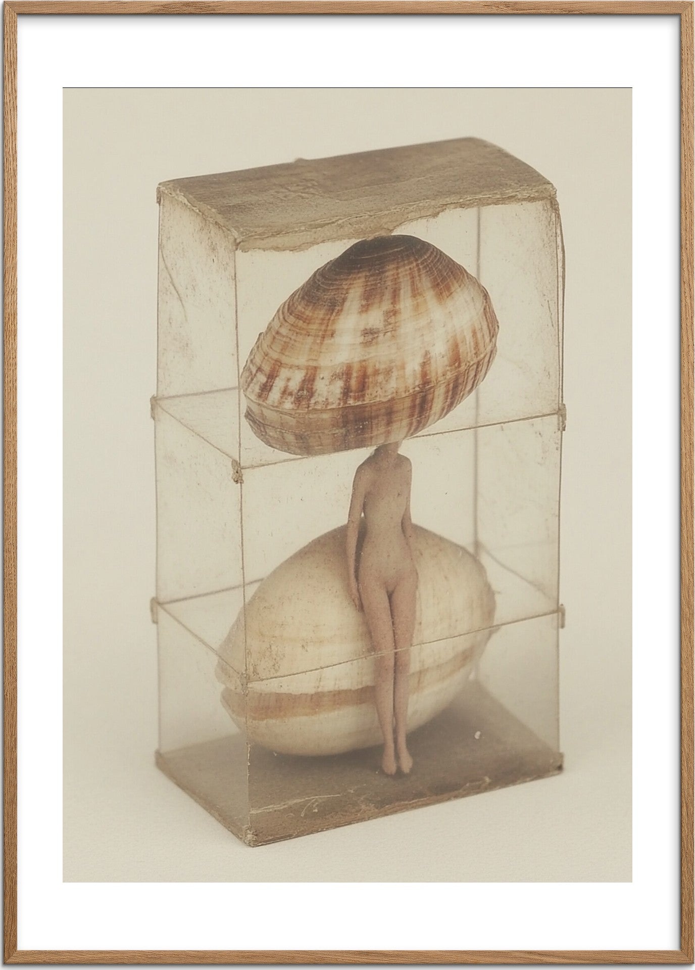 Shell of a Woman — מוקאפ מסגרת