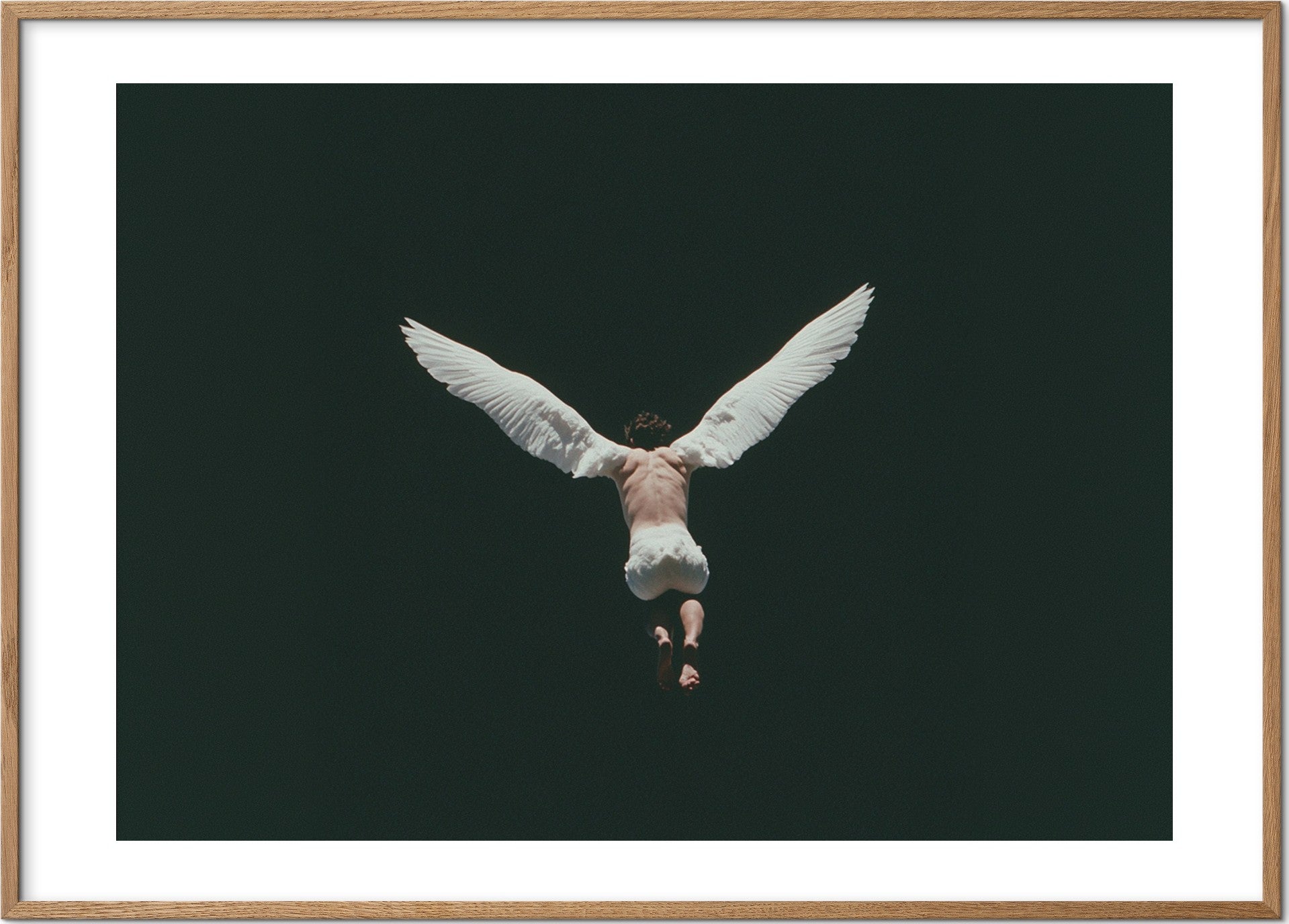 Swan Dive — מוקאפ מסגרת