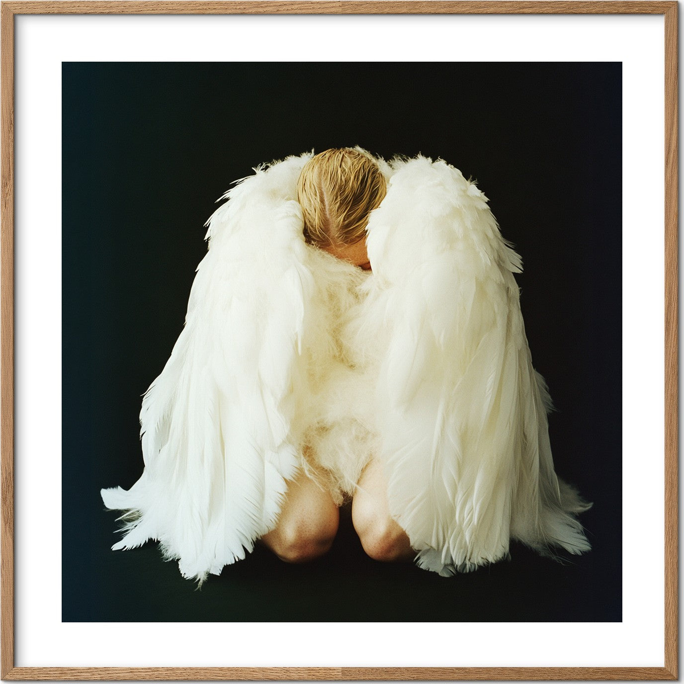 The Swan — מוקאפ מסגרת