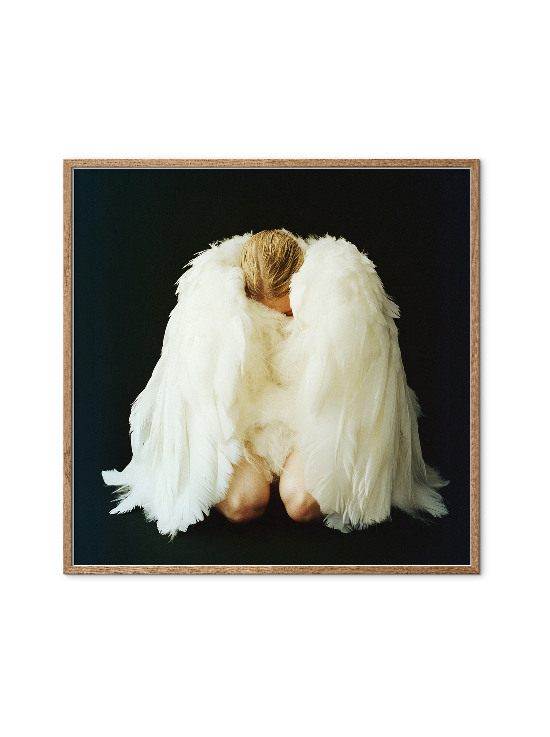 The Swan — מוקאפ מסגרת