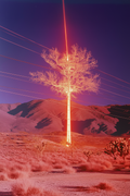 The Tree